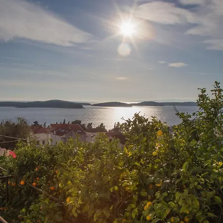Biba Hvar *
