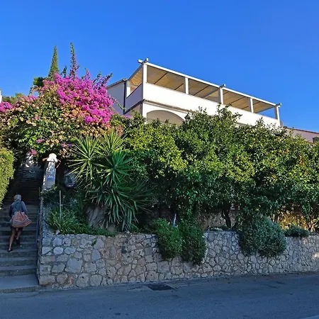 Biba Hvar Apartment Hvar Town